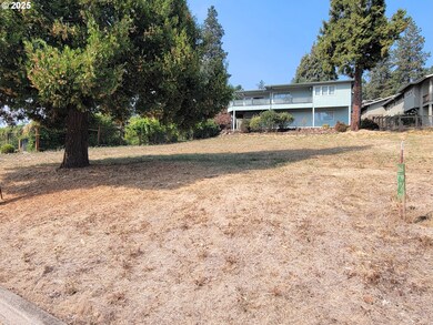 0 Sunridge Ln unit 40 364995201, Lowell, OR 97452 - photo 4