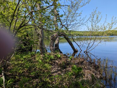 PXL_20230523_164537689
