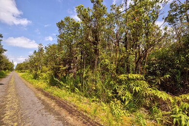 0 Alapua St unit 718244, Mountain View, HI 96771 - photo 2