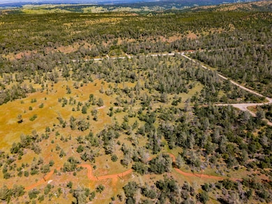 Wide-Open Acreage with Road Access