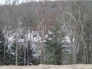 64 Northland Rd, Windham, NH 03087 - photo 5