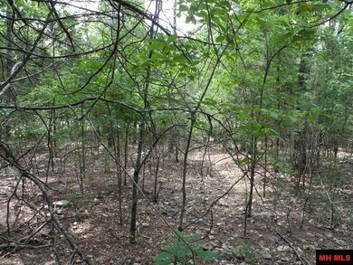 Lot Q Longfellow Dr, Mountain Home Township, AR 72653 - photo 4