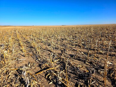 Tbd Road 143, Lodgepole, NE 69149 - photo 2