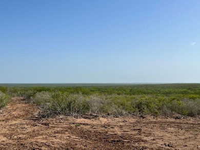 44 Ranch North Tract 21, Rosita, TX 78384 - photo 3