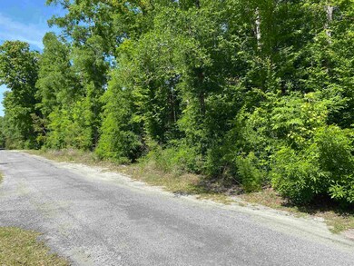 23 Lee St, Crawfordville, FL 32327 - photo 6