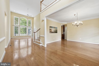 11906 Old Elm Ct, Spotsylvania, VA 22551 - photo 4