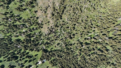 Parcel 23 Buffalo Lance Ranch, Cameron, MT 59720 - photo 4