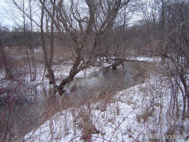 Stream at Rear of Property