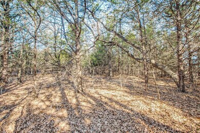 TBD9133 County Road 113, Whitesboro, TX 76273 - photo 5