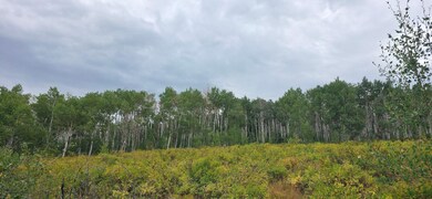 22040 Snowbird Dr, Helper, UT 84660 - photo 7