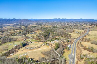 99999 Old Farmstead Trail, Leicester, NC 28748 - photo 5