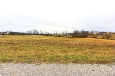 549 Eli Dr, Jackson, MO 63755 - photo 3