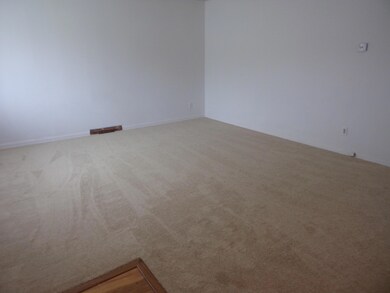 2233 Ferris carpet 1 (1)
