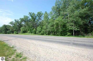 VL Rifle River Trail, West Branch, MI 48661 - photo 7