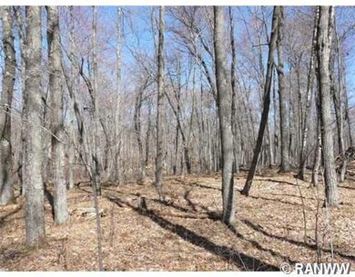 Lot 8 Moser Dr, Webster, WI 54893 - photo 6