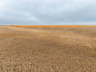 000 L Rd, Millbrook Township, KS 67642 - photo 5