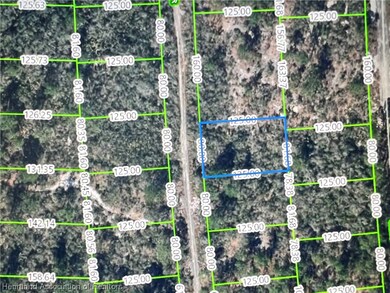 429 Blue Heaven Dr, Lake Placid, FL 33852 - photo 7