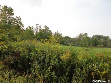 Land. Approx. end of property on Webster Road