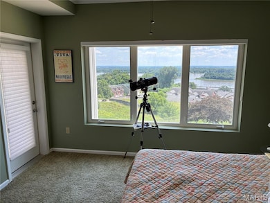 401 Timber Ridge Dr unit 16, Grafton, IL 62037 - photo 6