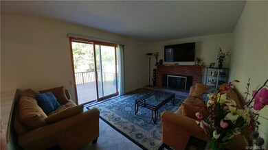 Family Room - the current owners raised the level 