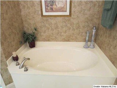 MASTER BATH IS LARGE ENGOUGH FOR 5 BIG YOUNG'UNS..