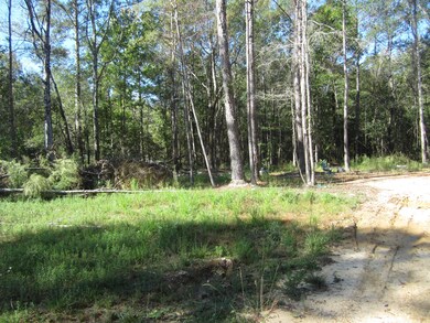 0 Highway 43, Oak Vale, MS 39656 - photo 3