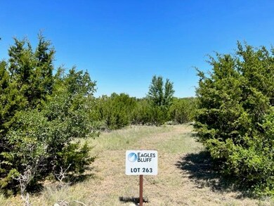 2112 Eagles Ridge Dr, Weatherford, TX 76087 - photo 7