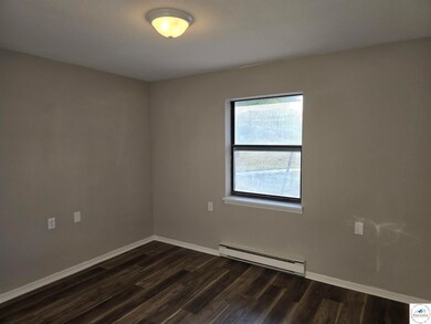 206 N Ohio St, Chilhowee, MO 64733 - photo 4