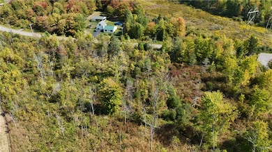 0 Ryther Rd unit R1639857, Evans, NY 14006 - photo 4