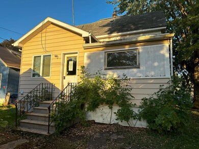 703 Freeborn Ave, Albert Lea, MN 56007 - photo 4