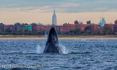 new york bay 2
