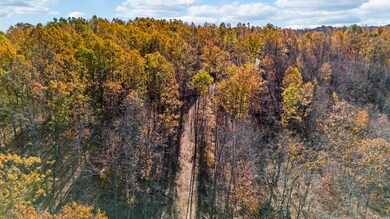 DJI_20241105111510_0012_D