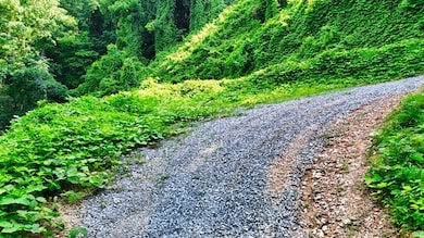 0 Balsam Slopes Rd unit RTC2914686, Sevierville, TN 37862 - photo 4