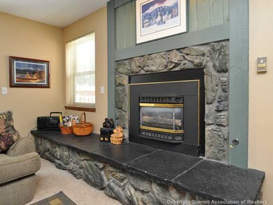 Other. Fireplace