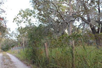 10132 New York Ave, Hudson, FL 34667 - photo 2