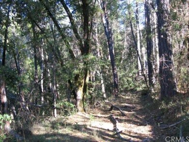 Walking trail in the woods