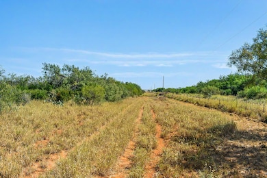 20788 U S Highway 83, Laredo, TX 78045 - photo 7