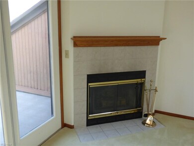 Wood burning fireplace