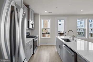 Demott and Silver at Broadlands - Demott and Silver, Ashburn, VA 20148 - photo 7