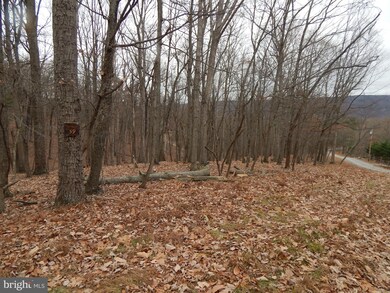 0 Pioneer Trail unit WVMO116368, Great Cacapon, WV 25422 - photo 2