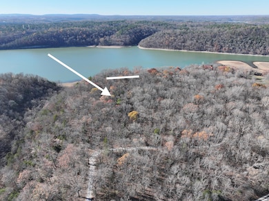 0 Hickory Springs Rd, Hindsville, AR 72738 - photo 5