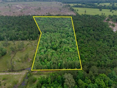 Tract 2 Smith Rd, Cleveland, TX 77328 - photo 5