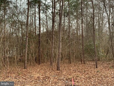 Lot C3 S Mount Laurel Dr unit C3, Dagsboro, DE 19939 - photo 4
