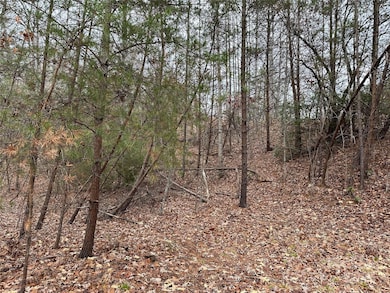 00 Jackson Cove Pkwy unit 2, Mill Spring, NC 28756 - photo 6