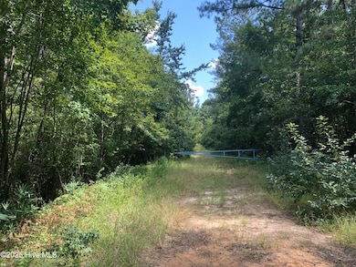 0 Plantation Rd, Trenton, NC 28585 - photo 3