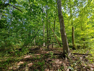 IMG_20250909_132554038_HDR