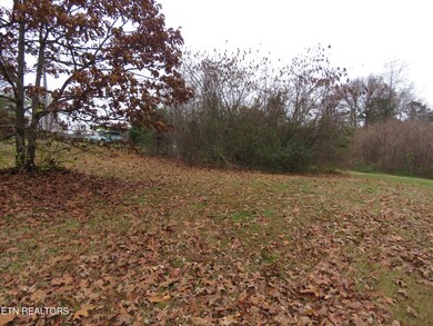 5506 Nickle Rd, Knoxville, TN 37921 - photo 2