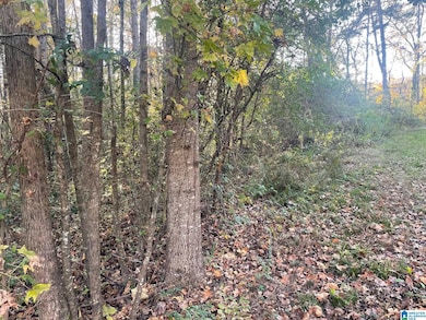 529 Foxfire Dr, Gardendale, AL 35071 - photo 4