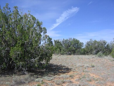 Itasca 5 Acres 007 - Copy