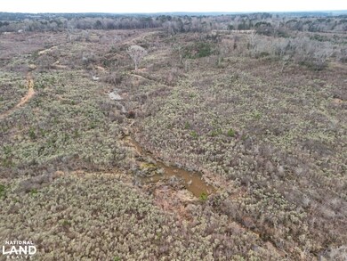 Hwy 13 Morton Ms, Morton, MS 39117 - photo 5
